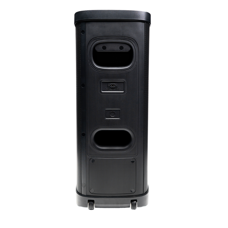 Vivax vox zvu?nik za karaoke BS-1300