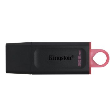 KINGSTON 256GB DataTraveler Exodia USB 3.2 Gen1 DTX/256GB