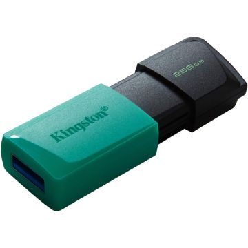 KINGSTON 256GB DataTraveler Exodia M USB 3.2 Gen1 DTXM/256GB